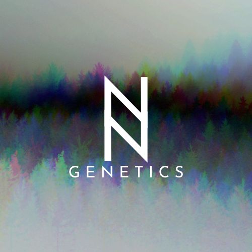 NN Genetics